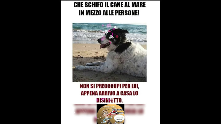 Va bene ma non preoccuparti...grazie #justfunnyworld #filosofia