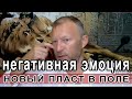 Работа с негативными эмоциями