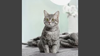 Soft Paws Quiet Rest