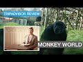 MONKEY World DORSET TRIPADVISOR Review