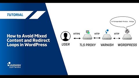 How to Avoid Mixed Content and Redirect Loops in WordPress