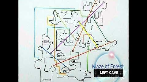 IMO TWOM: Maze of Forest-MAP