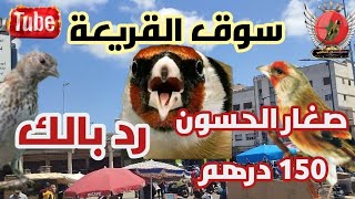 سوق القريعة ليوم السبت 06 ماي 2023 صغار الحسون 150 درهم حضي راسك ?♥️