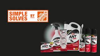 How to Get Rid of Ants (Fast &amp; Easy) | The Home Depot Canada