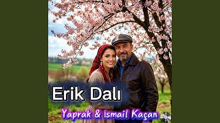 Erik Dalı