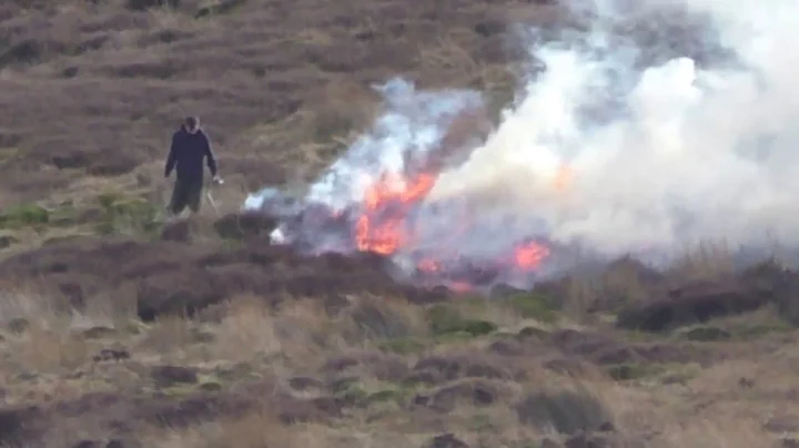 FLAME THROWER - Grouse Moor Heather Burning