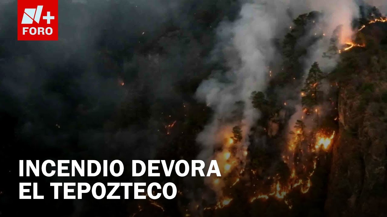 Incendio en el cerro del Tepozteco devora vegetación y alarma a ...