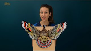 Sophie sort sa science sur... le mimétisme ! Ep 9