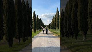 A Tuscan Clic Cypress Avenue Italian Countryside Enjoy Tuscany Queer Travel Couple