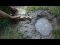 Primitive Life - Primitive girl eggs fish trap in deep hole - Forest people meet ethnic girl