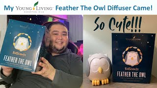 The Feather The Owl Diffuser (Young Living) + Christmas Spirit Oil