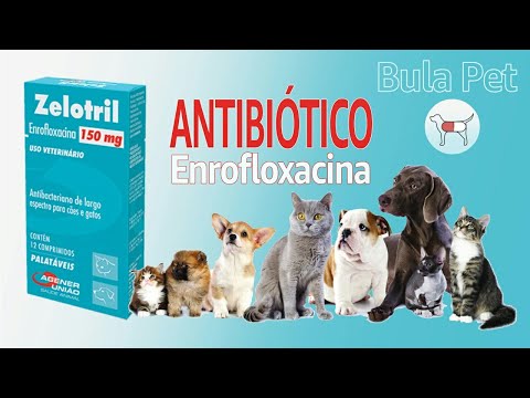 Vídeo: Amitriptilina - Lista De Medicamentos E Prescrições Para Animais De Estimação, Cães E Gatos
