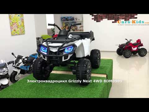 Детский электроквадроцикл Grizzly Next 4WD BDM0909