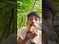 MAKAN SERBA CHUPA CHUPS#asmr#shorts#chupachupslollipop🍭🤤