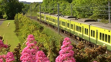 Dart class EMU near Shankill