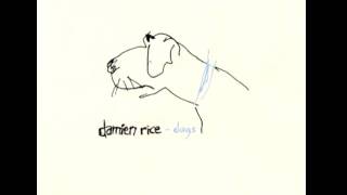 Damien Rice - Rootless Tree (Live at Radio 3FM) chords