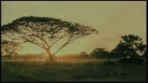 2004-50回目のファースト・キス-日本版予告