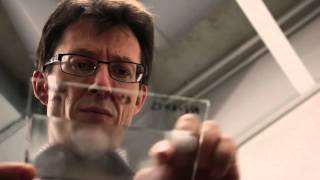 I-Cure® Technology improves indoor air quality