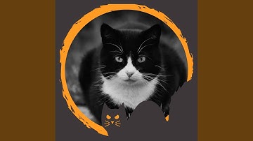 Vintage Jazz Trombone - Vibe for Moody Kittens