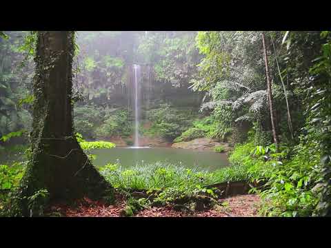 Смотреть «⭕️ Music for focus: rain and thunder | Alpha waves» на YouTube