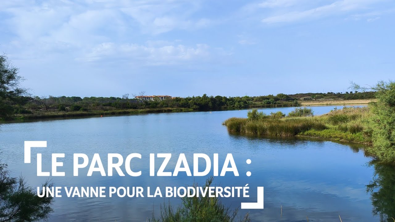 Le parc Izadia : une vanne pour la biodiversité - YouTube
