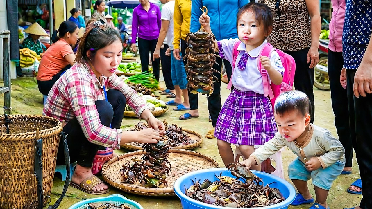 Catching Wild Stone Crabs in the Forest – Boiling Crabs for My Kids and Selling at the Market