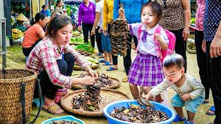 Catching Wild Stone Crabs in the Forest – Boiling Crabs for My Kids and Selling at the Market