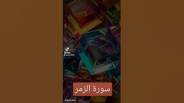 سورة الزمر #تيك_توك #quran #المصحف #duet #دويتو #لايك #حالات_واتس #العظماء #صباح_الخير #اكسبلور