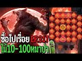 นักยูทูป no1 สล็อต ไล่เบทให้กำไรEp.1 หมาป่าpg สล็อตหมาป่า
