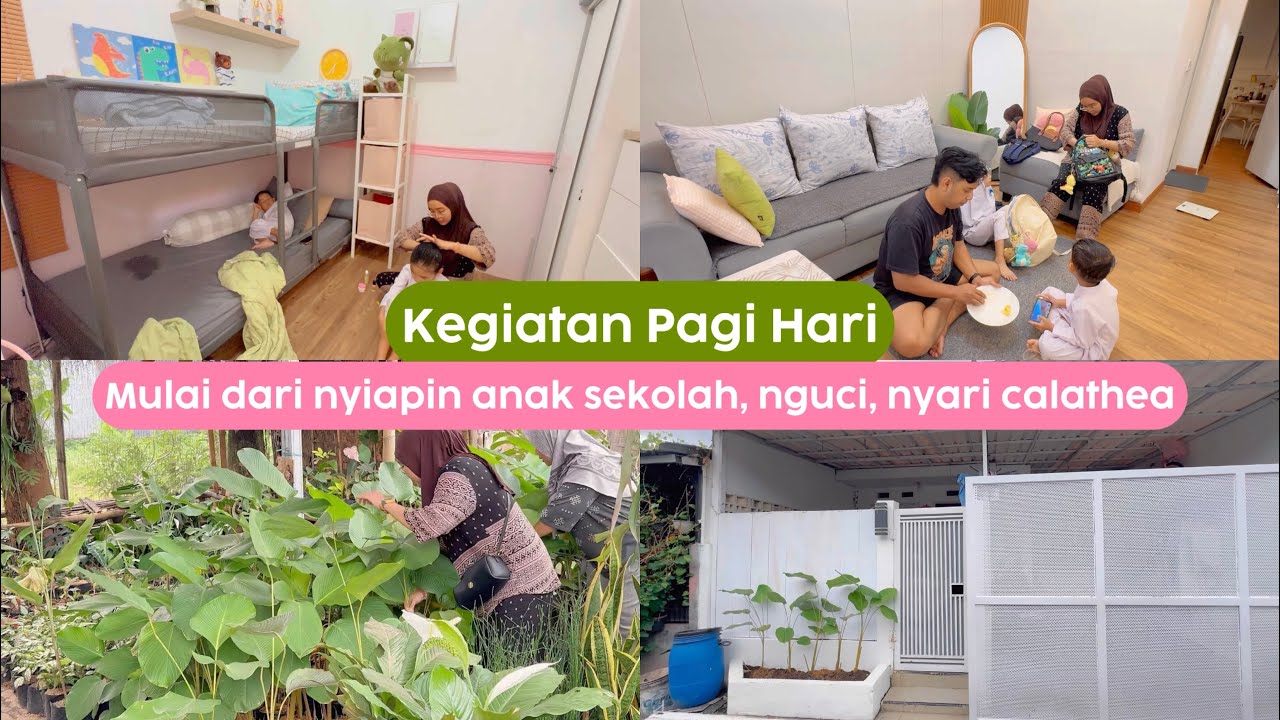 Akhirnya Nanam Calathea Lagi di Depan Rumah , Kegiatan Keluarga Di Pagi Hari