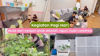 Download Lagu Akhirnya Nanam Calathea Lagi di Depan Rumah , Kegiatan Keluarga Di Pagi Hari MP3 Download Lagu Akhirnya Nanam Calathea Lagi di Depan Rumah , Kegiatan Keluarga Di Pagi Hari MP3