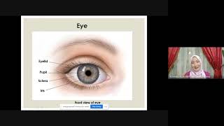 CHAPTER 1 : STIMULI AND RESPONSES - THE EYE (Teacher Yuhanis)