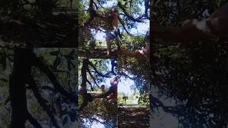 Resonate The Connection