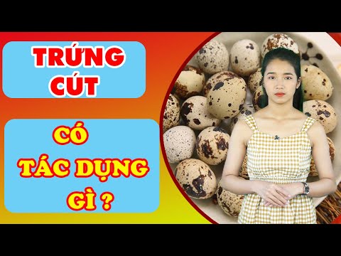 Video: Lợi ích Của Trứng Cút