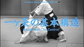 一ヶ条の基本構造］養神館合気道 精晟会渋谷の稽古 - YouTube