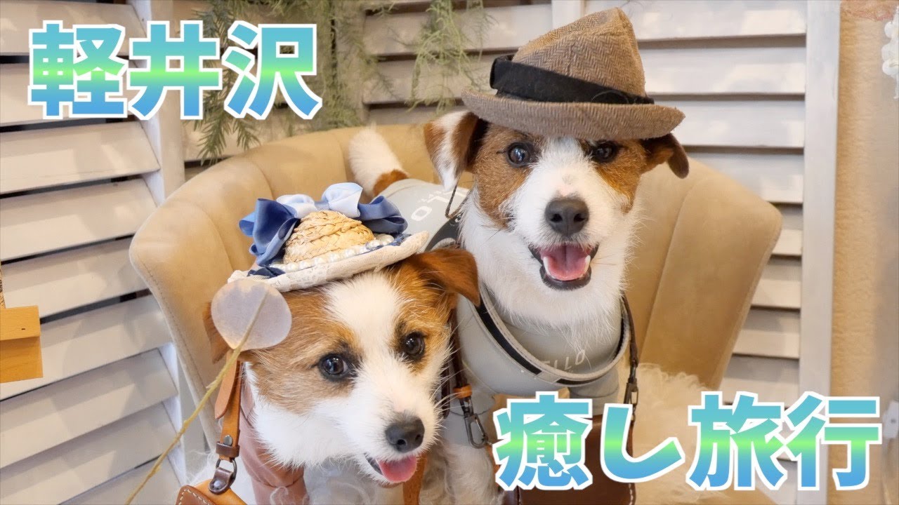 Lucien Kyu-Karuizawa Room Tour] Treat yourself to a trip with your