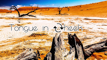 SixStringNoise - Tongue in Cheek (acoustic)