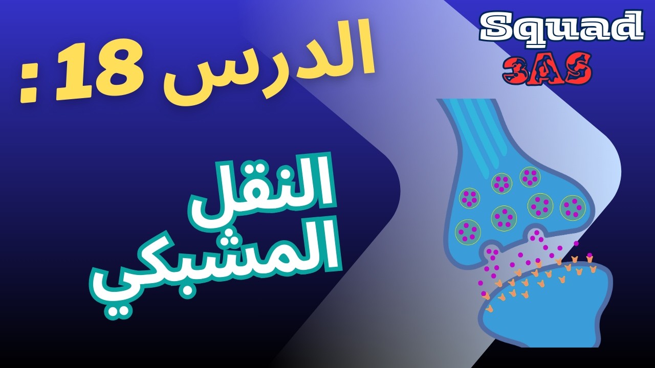 النقل المشبكي 🧠🔬 | كيف تتدخل البروتينات؟ – سنة ثالثة ثانوي