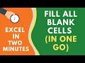 How to FILL BLANK CELLS in Excel (with 0 or Text or Formula)