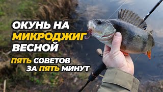 Ловля окуня на микроджиг весной. Пять советов за пять минут