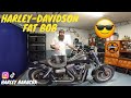 Harley davidson fat bob custom