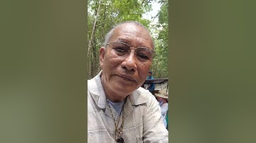 Rừng ngập mặn ở Đất Mũi Cà Mau