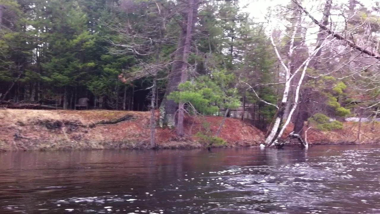 Au Sable River South Branch Grayling MI. May 2015 YouTube