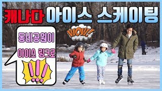 [캐나다 일상] 캐나다 동네공원에서 아이스 스케이트 타기