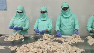 Good Morning Guys Pd White