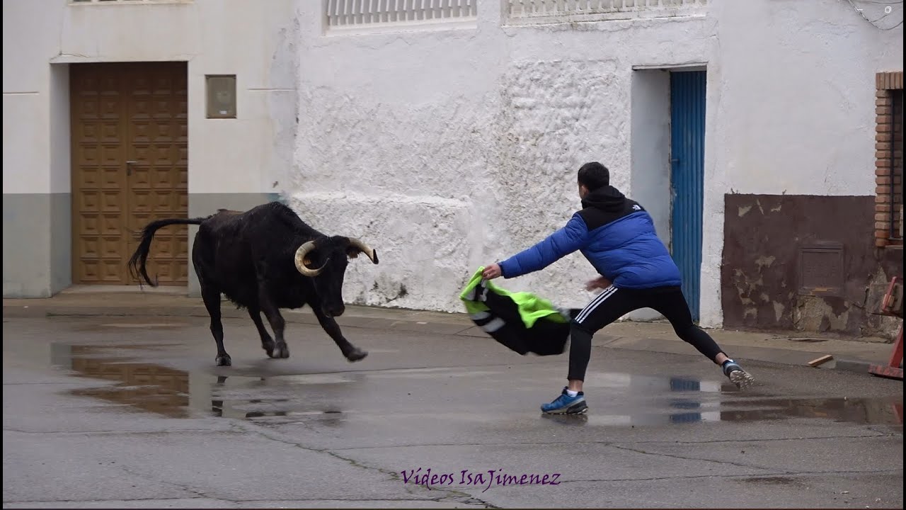 Encierro Cabañas de Ebro (Zaragoza) - 25/01/2025 - HD