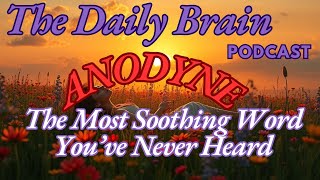 The Daily Brain ANODYNE   The Most Soothing Word You’ve Never Heard screenshot 1