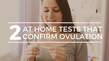 HOW TO CONFIRM OVULATION AT HOME - BBT & URINE PROGESTERONE STRIP TESTING