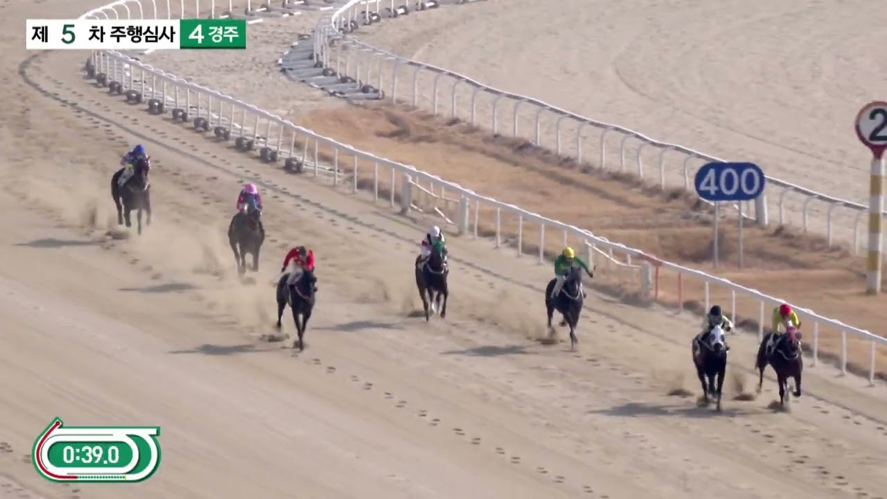(주행심사/부산) 2026.1.29 4경주