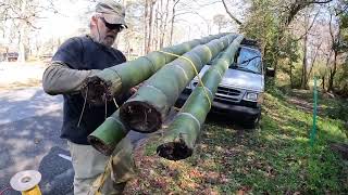 Harvesting Bamboo with Tom Grubb